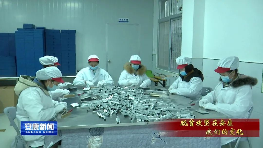 紫阳富硒茶采摘过程(紫阳富硒茶采摘时间)-硒宝网