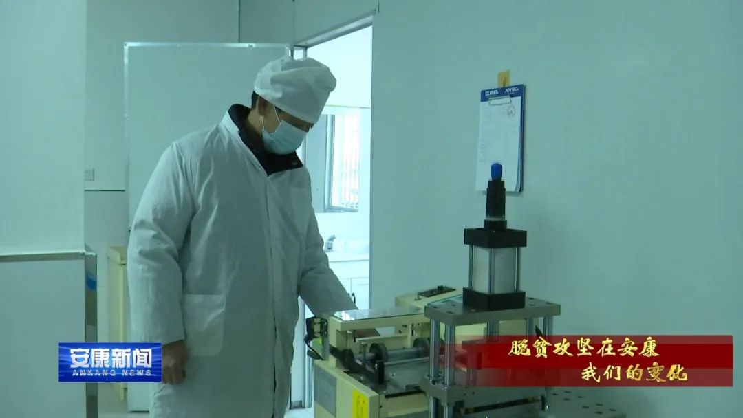 紫阳富硒茶采摘过程(紫阳富硒茶采摘时间)-硒宝网