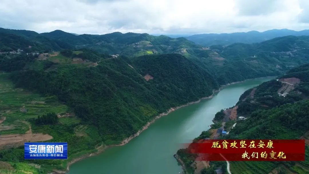 紫阳富硒茶采摘过程(紫阳富硒茶采摘时间)-硒宝网