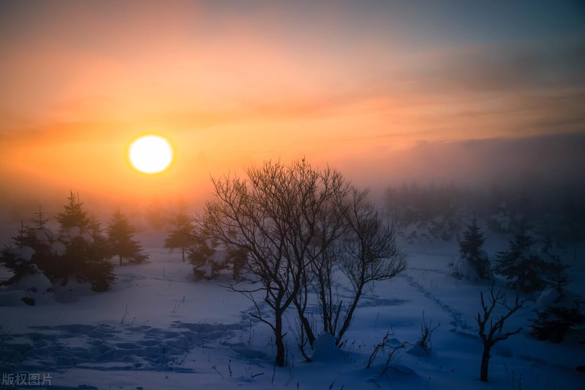 老年人吃什么补钙最快最好(老年人吃补钙的药好吗)-硒宝网