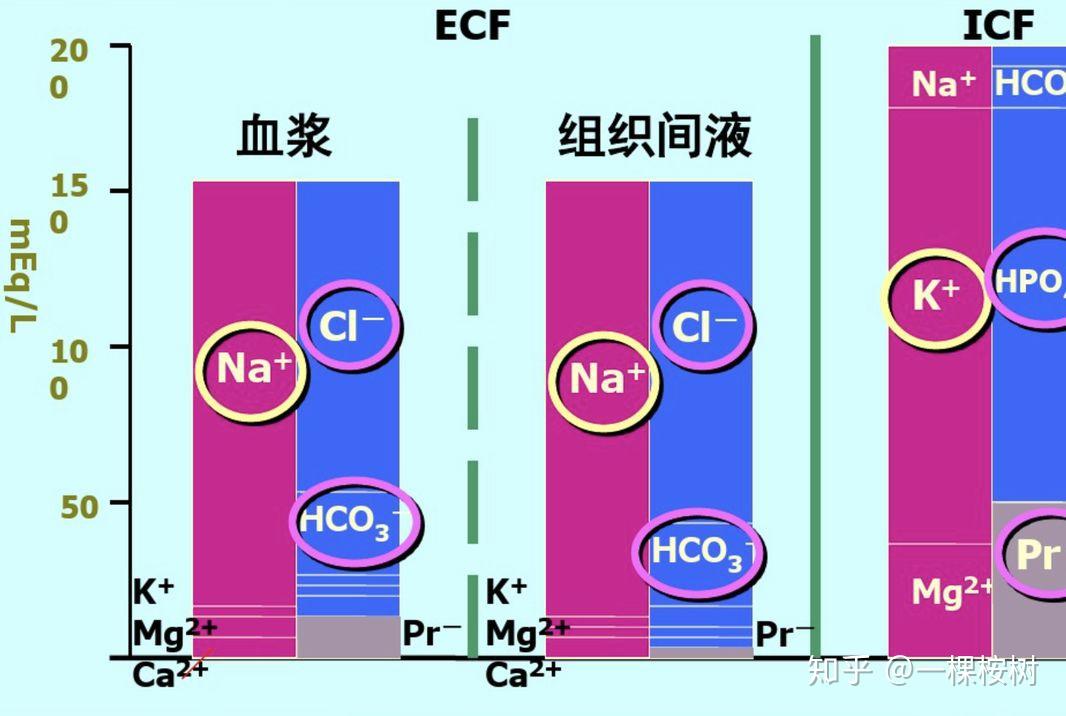 人体需要哪些微量元素（人体微量元素需要额外补充吗）-硒宝网