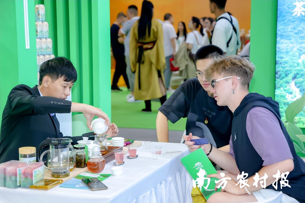 富硒茶啤酒代理选择（富硒茶啤酒多少钱）-硒宝网