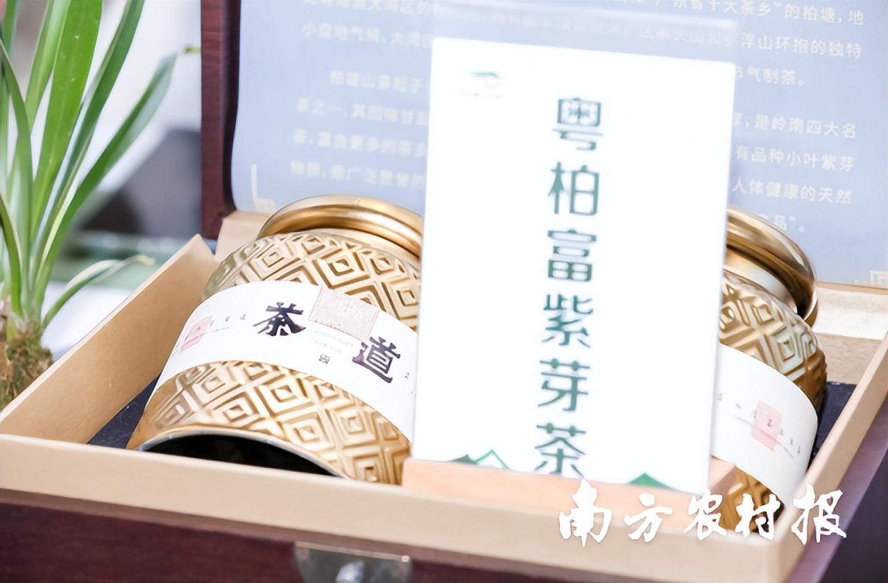 富硒茶啤酒代理选择（富硒茶啤酒多少钱）-硒宝网