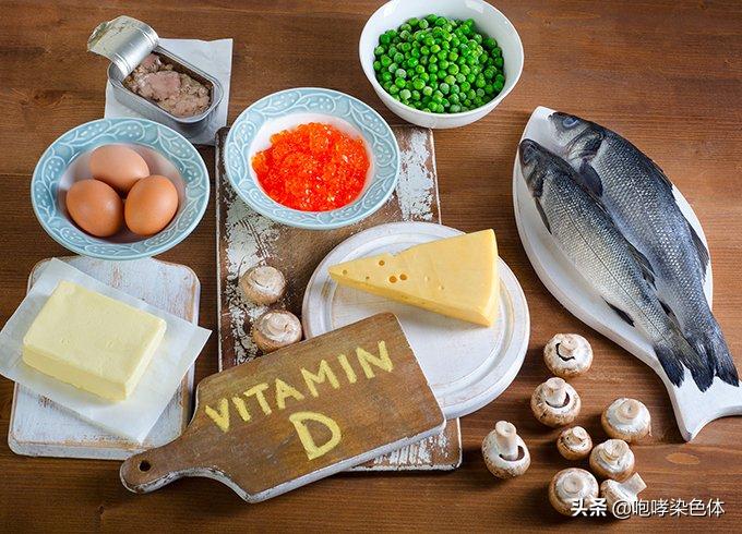 猫补钙(猫补钙的食物有哪些)-硒宝网