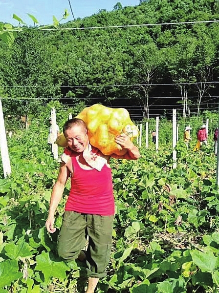 安康富硒茶宣传手册（安康富硒茶的功效与作用）-硒宝网