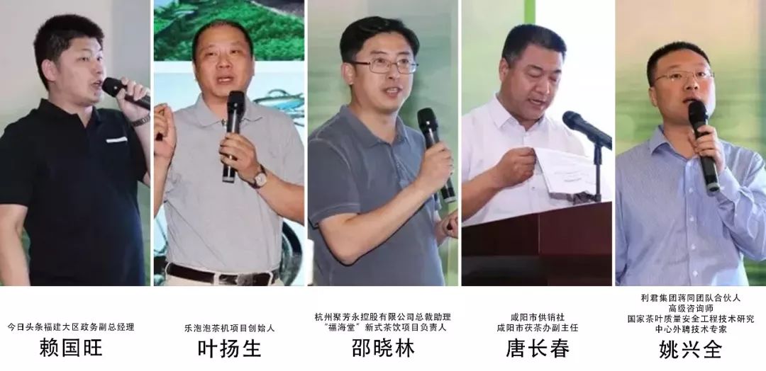 西安富硒茶什么牌子(陕西富硒茶的功效与作用)-硒宝网