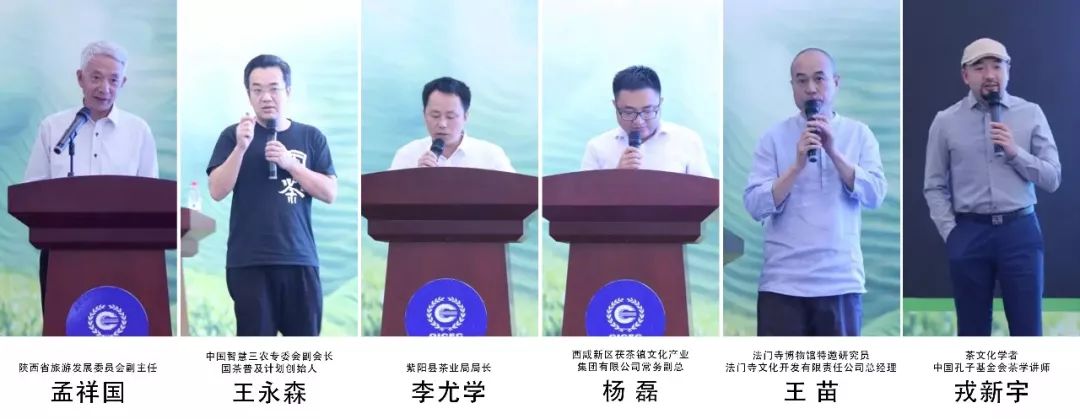 西安富硒茶什么牌子(陕西富硒茶的功效与作用)-硒宝网