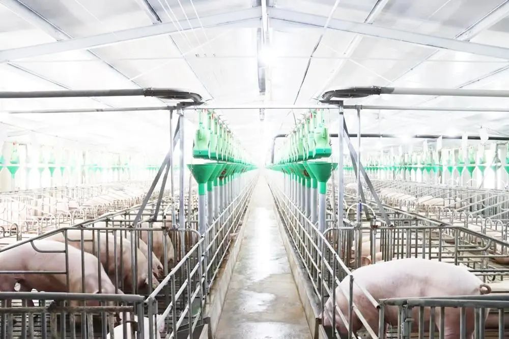 江夏恩施富硒茶价格(恩施富硒茶21年新茶价格)-硒宝网