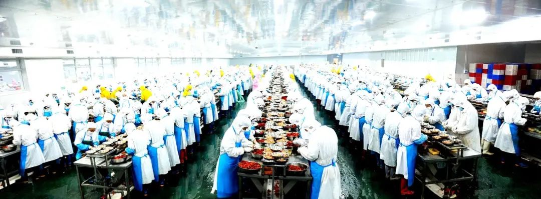 江夏恩施富硒茶价格(恩施富硒茶21年新茶价格)-硒宝网