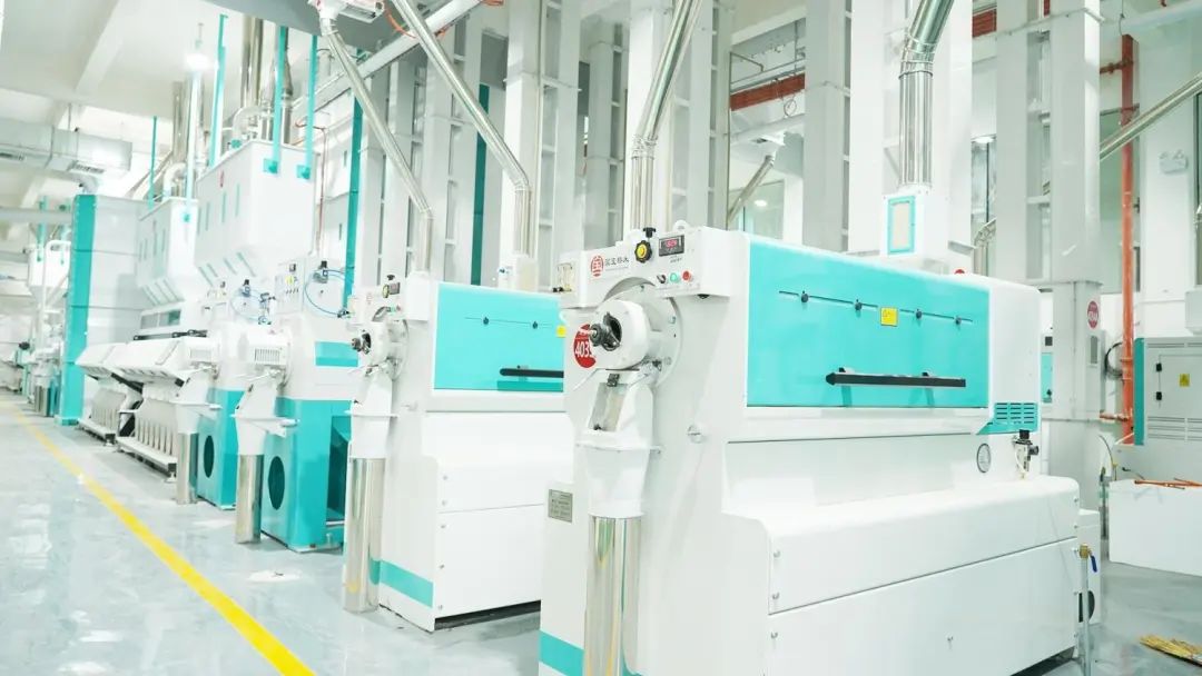 江夏恩施富硒茶价格(恩施富硒茶21年新茶价格)-硒宝网