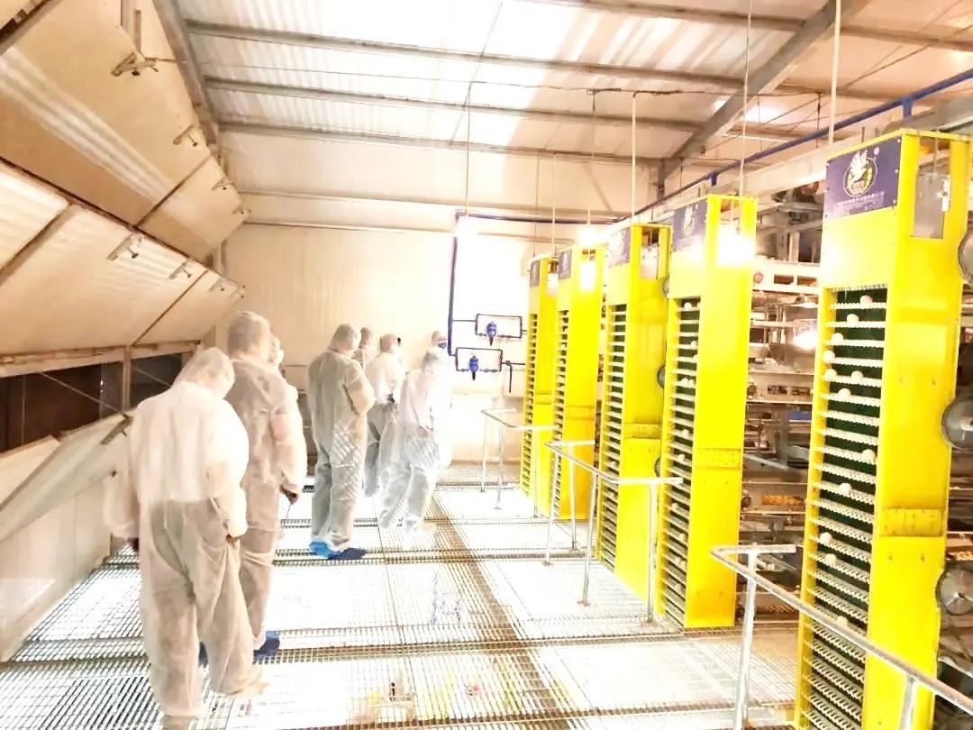 江夏恩施富硒茶价格(恩施富硒茶21年新茶价格)-硒宝网