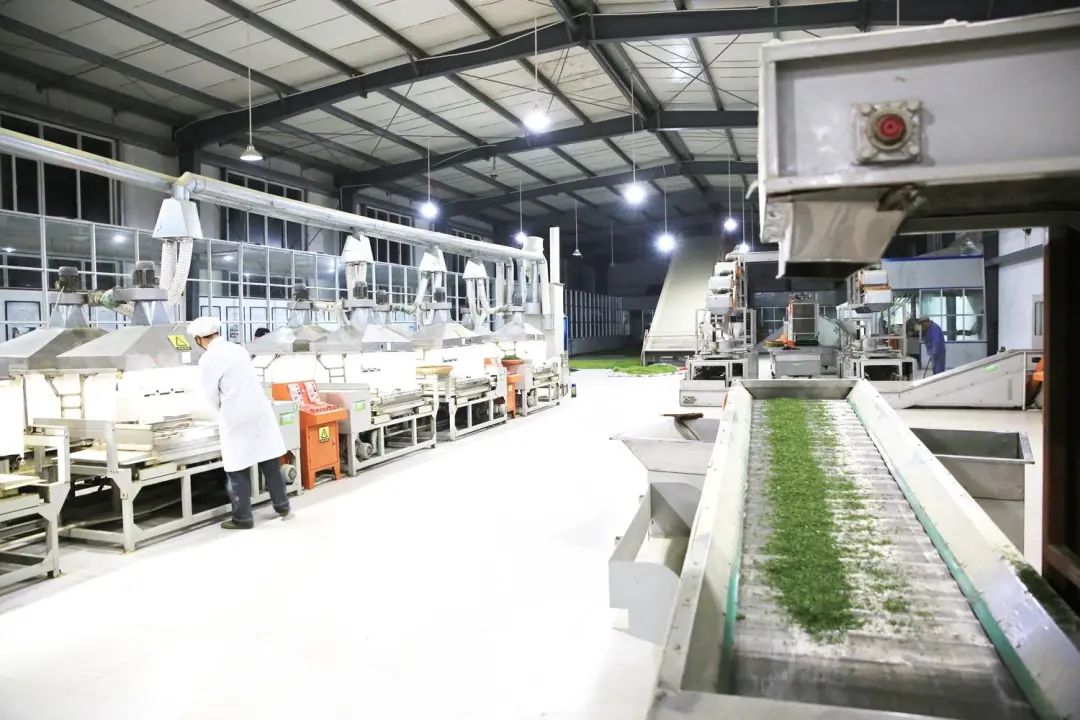 江夏恩施富硒茶价格(恩施富硒茶21年新茶价格)-硒宝网