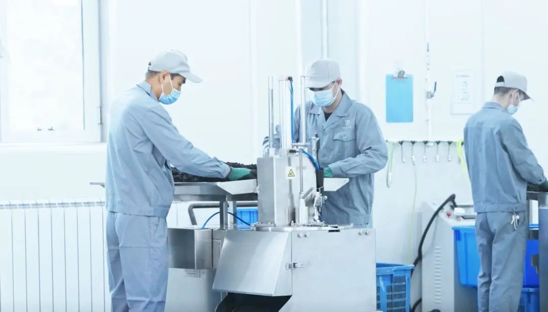 江夏恩施富硒茶价格(恩施富硒茶21年新茶价格)-硒宝网