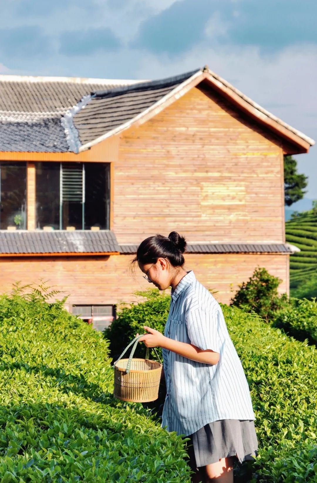 开阳富硒茶贵阳购买(贵阳茶购买富硒开阳茶多少钱)-硒宝网