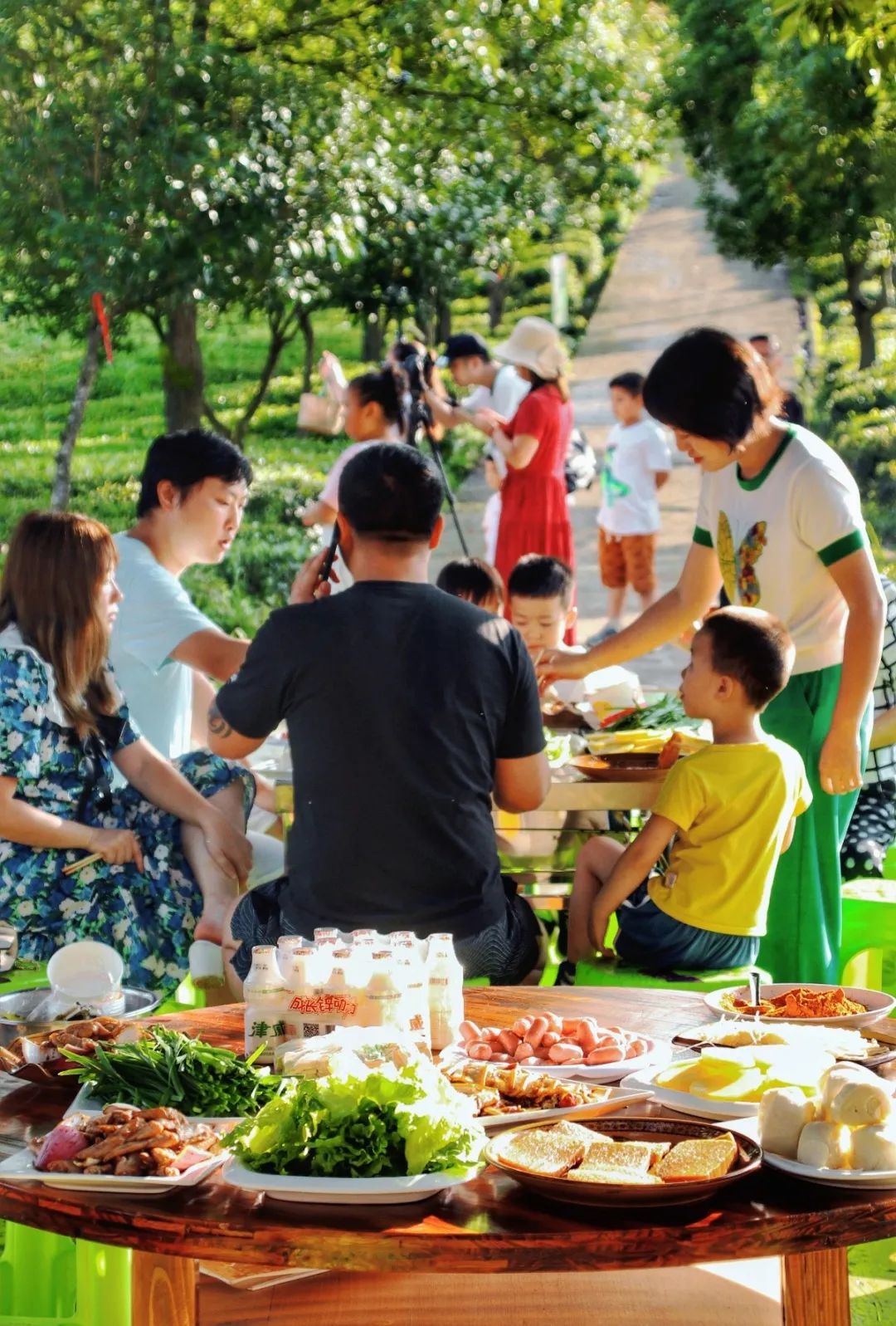 开阳富硒茶贵阳购买(贵阳茶购买富硒开阳茶多少钱)-硒宝网