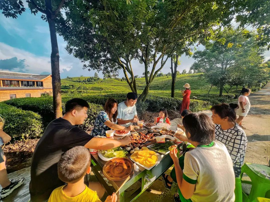 开阳富硒茶贵阳购买(贵阳茶购买富硒开阳茶多少钱)-硒宝网