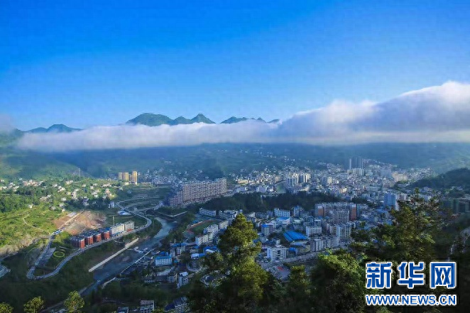 富硒茶啤酒代理公司(富硒茶啤酒厂家)-硒宝网