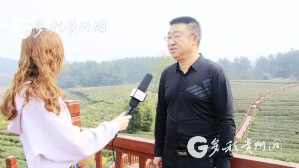 开阳富硒茶贵阳购买(贵州开阳富硒茶叶价格)-硒宝网