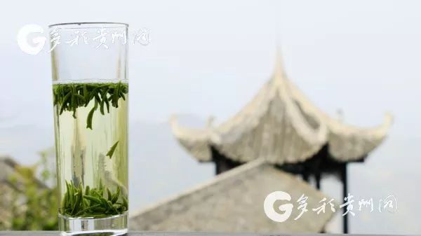 开阳富硒茶贵阳购买(贵州开阳富硒茶叶价格)-硒宝网