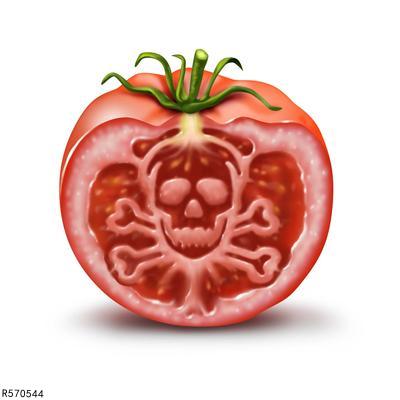 身体微量元素（微量元素身体需要吗）-硒宝网