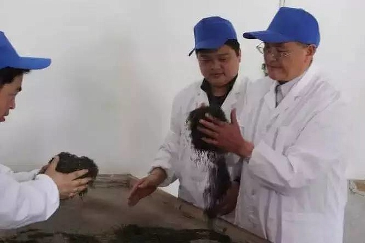 恩施富硒茶 哪种好（恩施富硒茶市场定位分析）-硒宝网