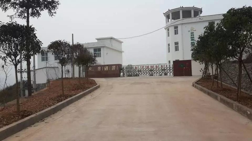 恩施富硒茶 哪种好（恩施富硒茶市场定位分析）-硒宝网