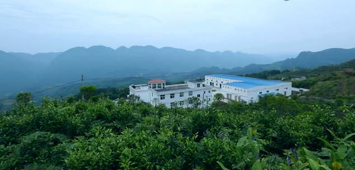 恩施富硒茶 哪种好（恩施富硒茶市场定位分析）-硒宝网