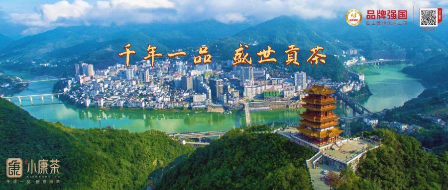 紫阳富硒都有什么茶(紫阳富硒茶厂)-硒宝网