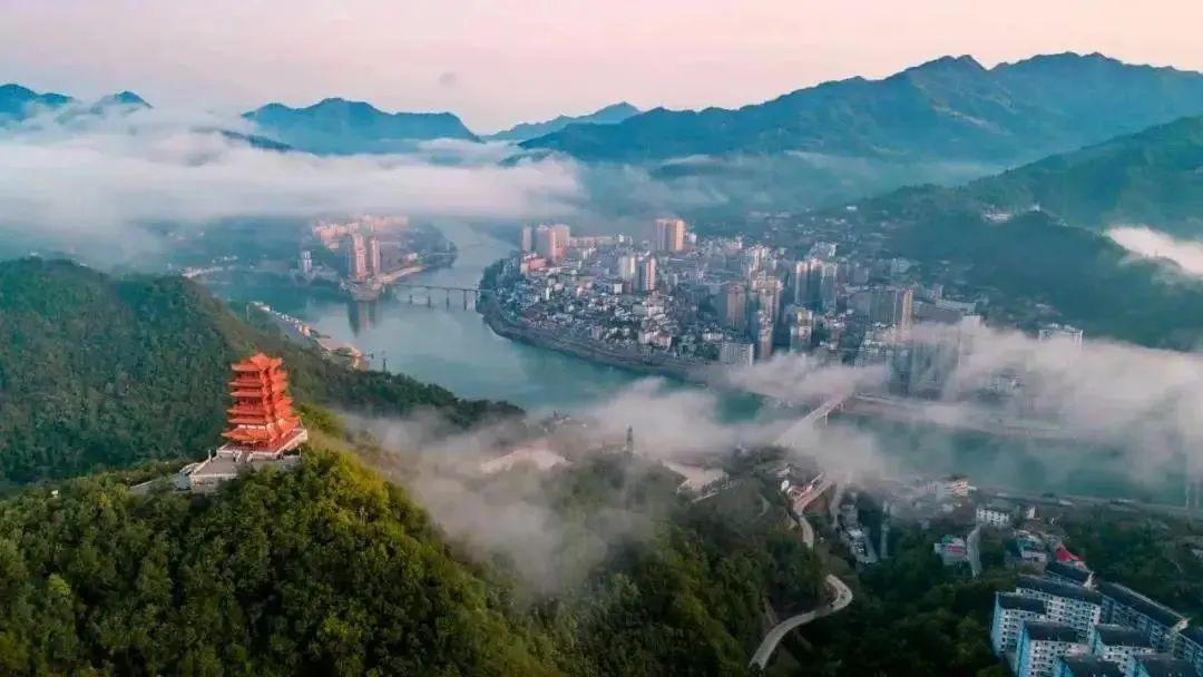 紫阳富硒都有什么茶(紫阳富硒茶厂)-硒宝网