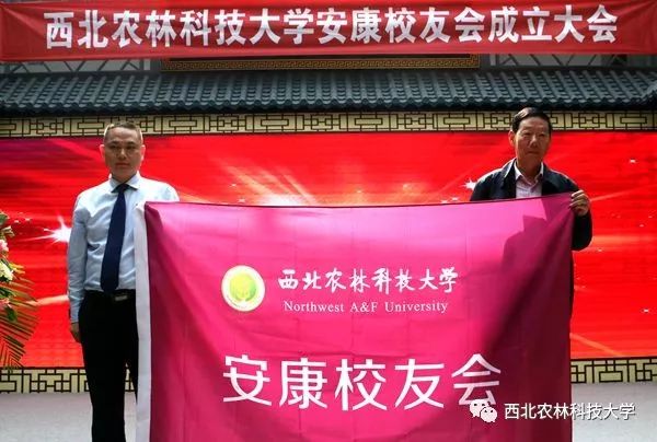 安康富硒茶采摘方法(安康采摘茶富硒方法视频)-硒宝网