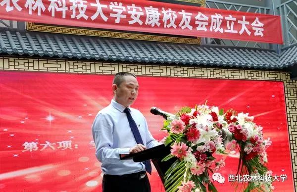 安康富硒茶采摘方法(安康采摘茶富硒方法视频)-硒宝网