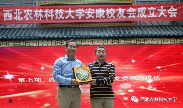 安康富硒茶采摘方法(安康采摘茶富硒方法视频)-硒宝网