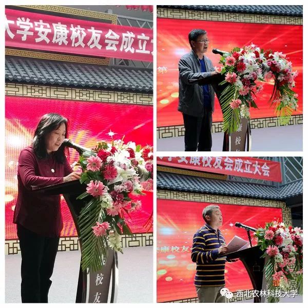 安康富硒茶采摘方法(安康采摘茶富硒方法视频)-硒宝网