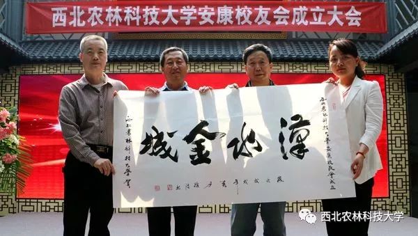 安康富硒茶采摘方法(安康采摘茶富硒方法视频)-硒宝网