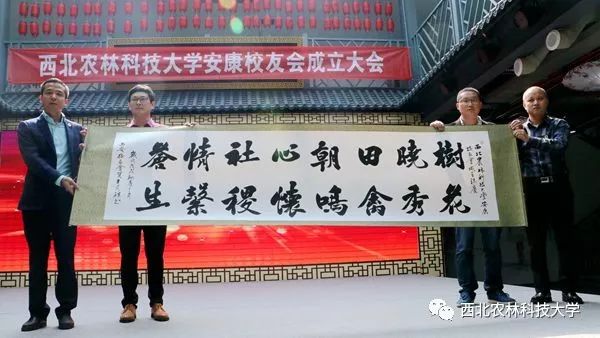 安康富硒茶采摘方法(安康采摘茶富硒方法视频)-硒宝网