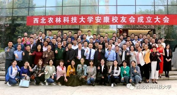 安康富硒茶采摘方法(安康采摘茶富硒方法视频)-硒宝网