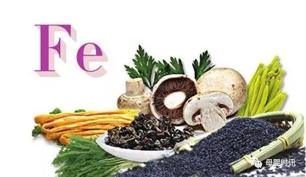 孕妇如何补铁(孕妇补铁药)-硒宝网