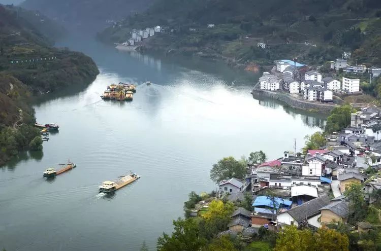 紫阳富硒茶qs认证（紫阳富硒茶厂）-硒宝网