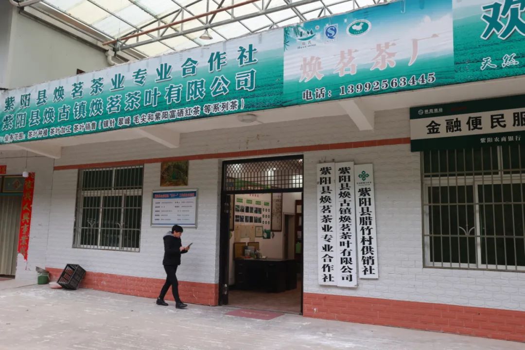 紫阳富硒茶qs认证（紫阳富硒茶厂）-硒宝网