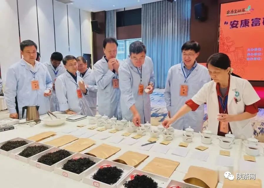 安康富硒茶历史简介(安康富硒茶属于什么茶)-硒宝网