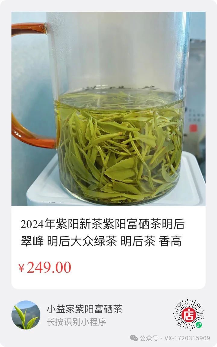 陕西茶叶紫阳富硒茶(陕西紫阳富硒茶价格)-硒宝网