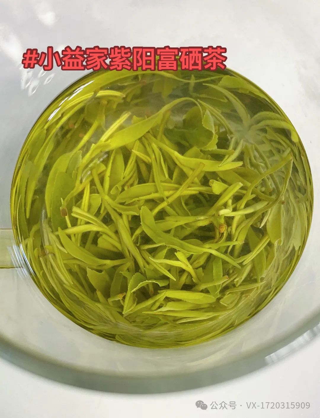 陕西茶叶紫阳富硒茶(陕西紫阳富硒茶价格)-硒宝网