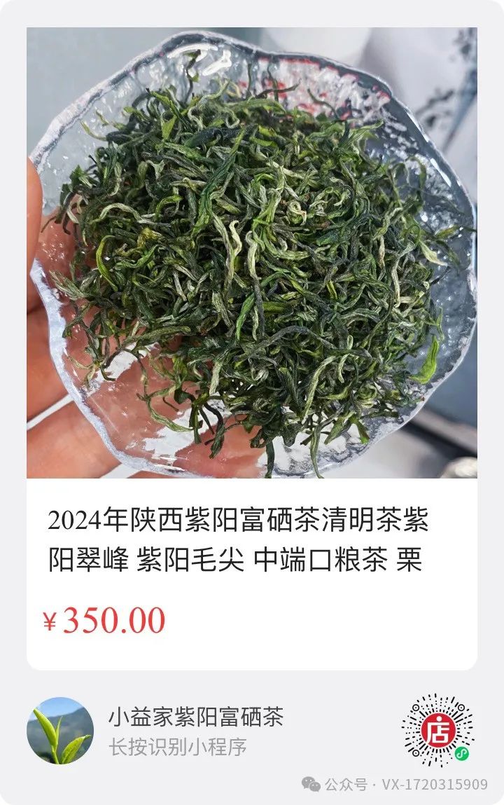 陕西茶叶紫阳富硒茶(陕西紫阳富硒茶价格)-硒宝网