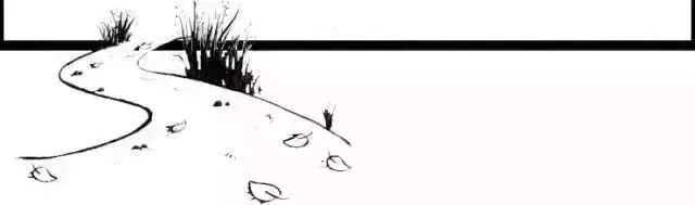 紫阳富硒茶qs认证(紫阳富硒茶品牌价值)-硒宝网