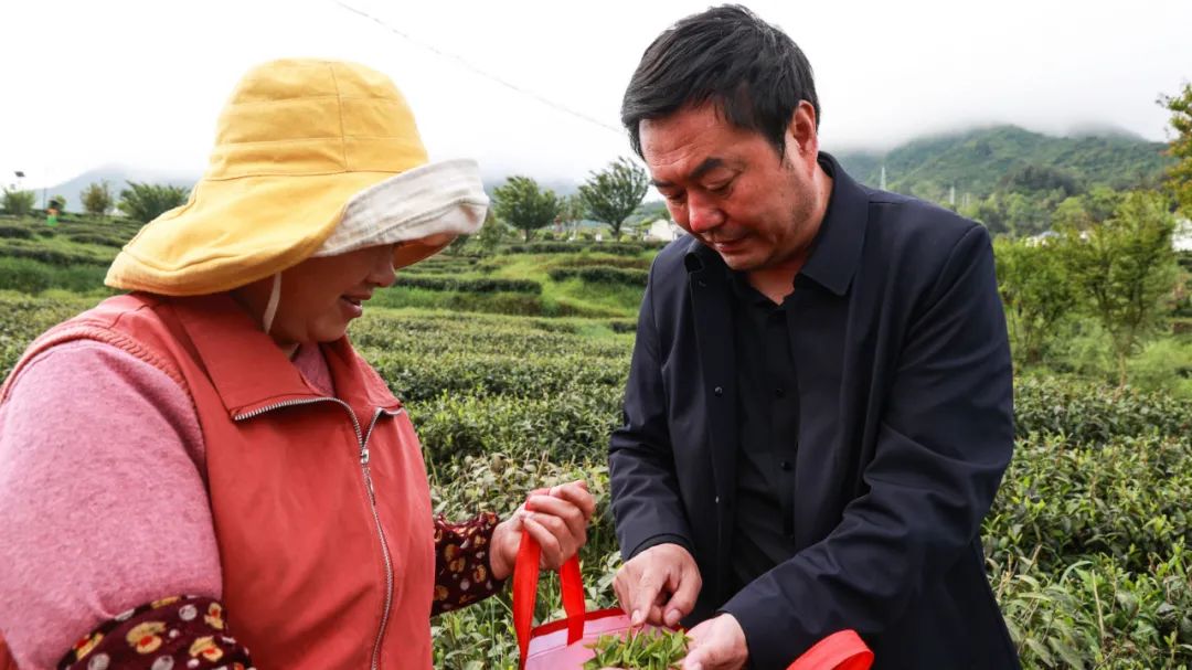 紫阳富硒茶qs认证(紫阳富硒茶品牌价值)-硒宝网