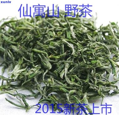 石台哪家富硒茶正宗(石台富硒茶大概多少钱一斤)-硒宝网