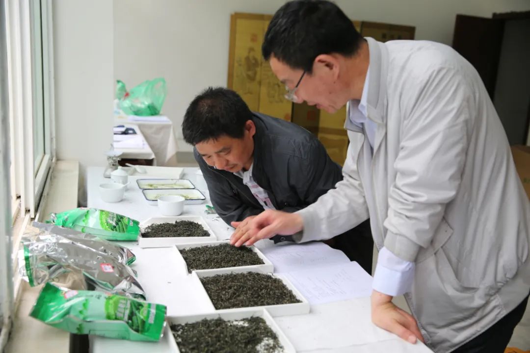 紫阳富硒茶qs认证（紫阳富硒茶哪个牌子好）-硒宝网