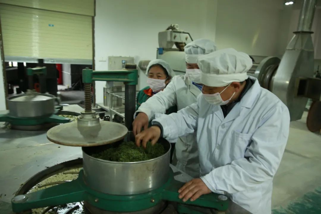 紫阳富硒茶qs认证（紫阳富硒茶哪个牌子好）-硒宝网