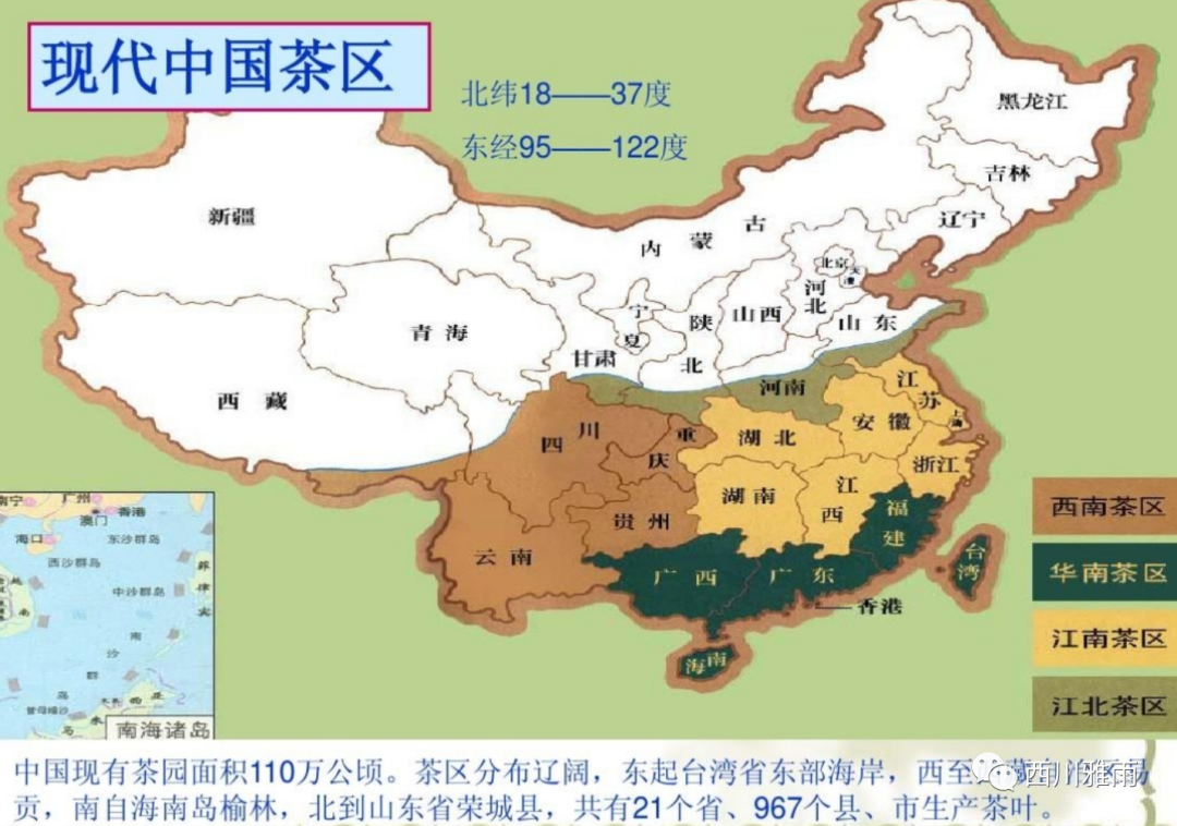 紫阳富硒茶银针价格(紫阳银针是绿茶吗)-硒宝网