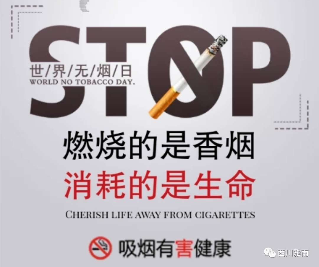 紫阳富硒茶银针价格(紫阳银针是绿茶吗)-硒宝网